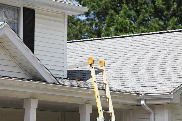 Best Vinyl Siding Installation  in Kayenta, AZ